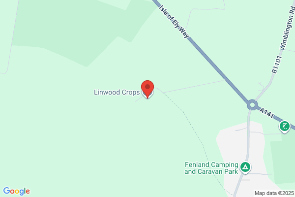 Linwood Egg Company
