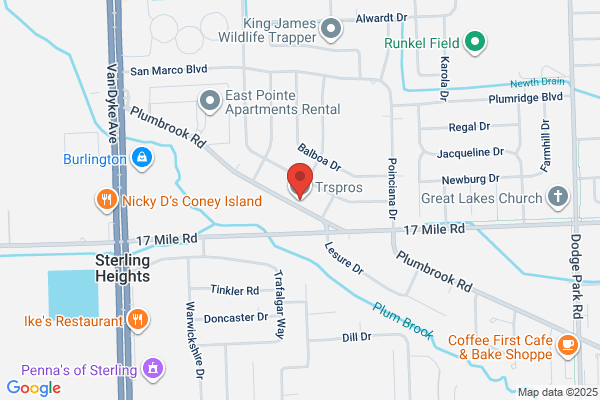 Sterling Heights Tree Removal & Trimming