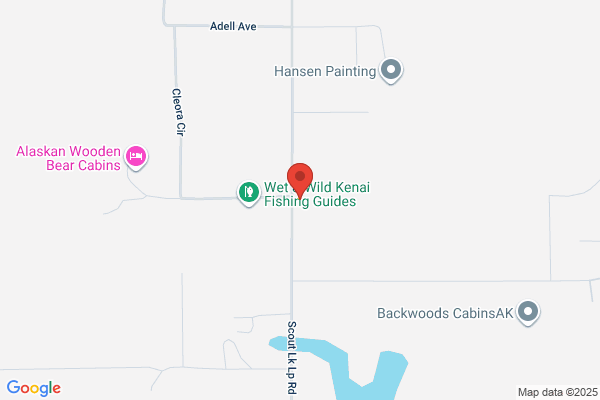Wet & Wild Kenai Fishing Guides