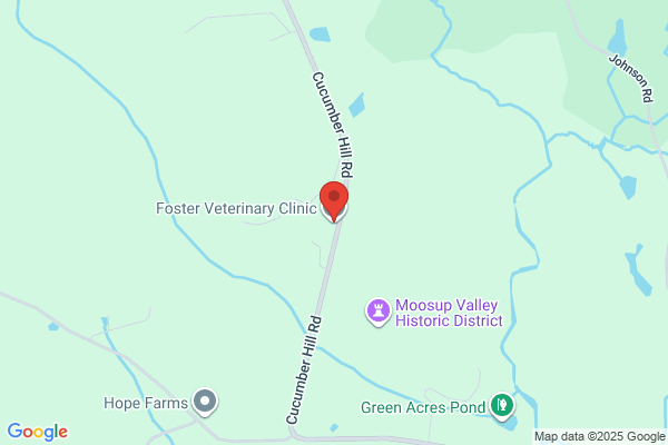 Foster Veterinary Clinic