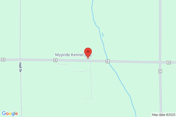 Mypride Kennels