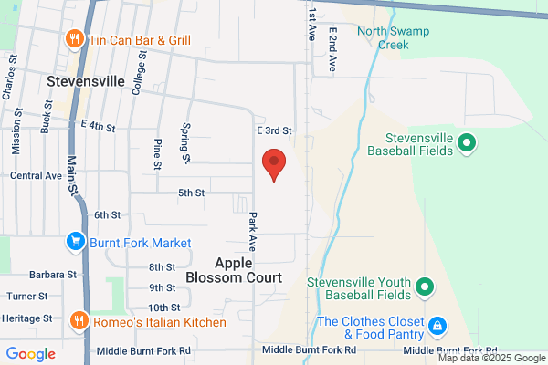 Schools Public, Stevensville, High School