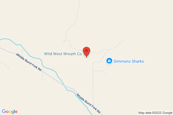 Wild West Wools
