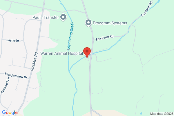 Warren Animal Hospital - Vincent J. Zaccheo DVM