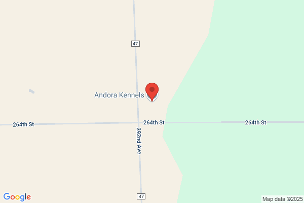 Andora Kennels