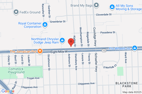 Oak Park Auto Inc