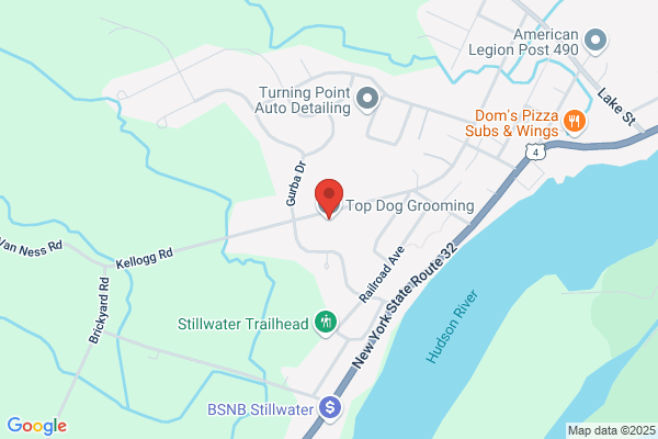 Top Dog Grooming