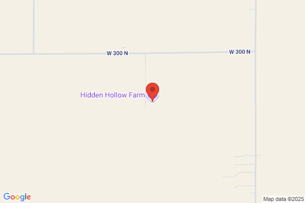Hidden Hollow Farm
