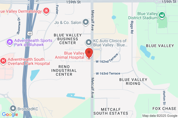 Blue Valley Animal Hospital