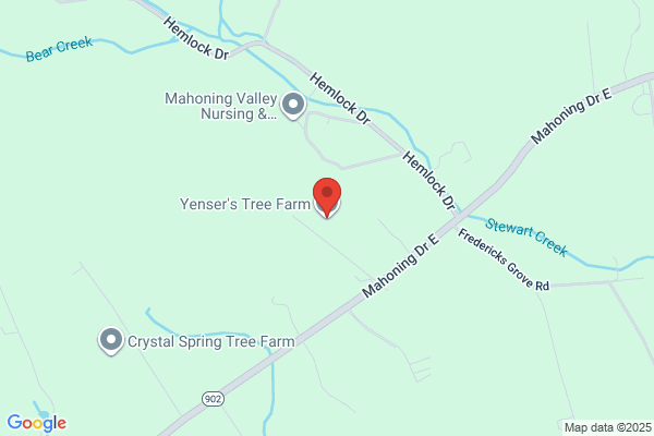 Jenner Tree Farm