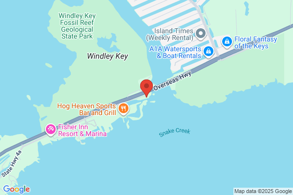 ISLAMORADA  KEY WEST TOURS & RENTALS
