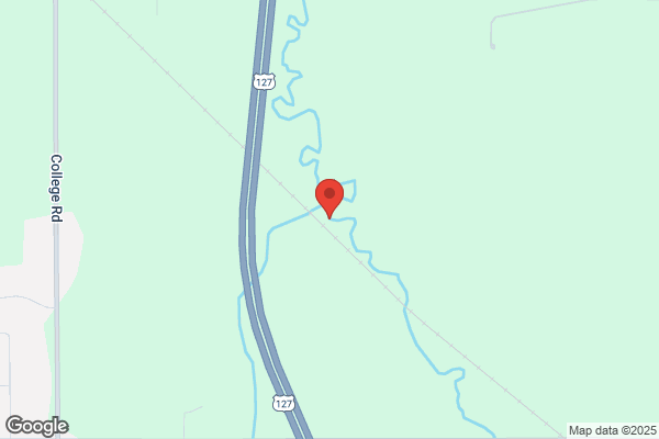 Sycamore Creek Company