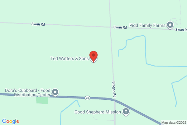 Watters Ted & Sons