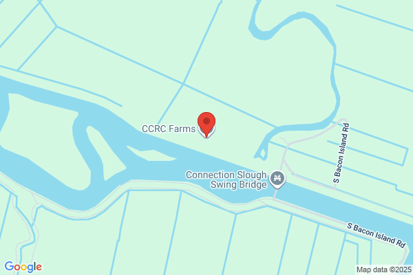 Cinder Farms