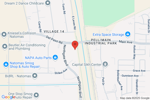 Earthwise Pest Management