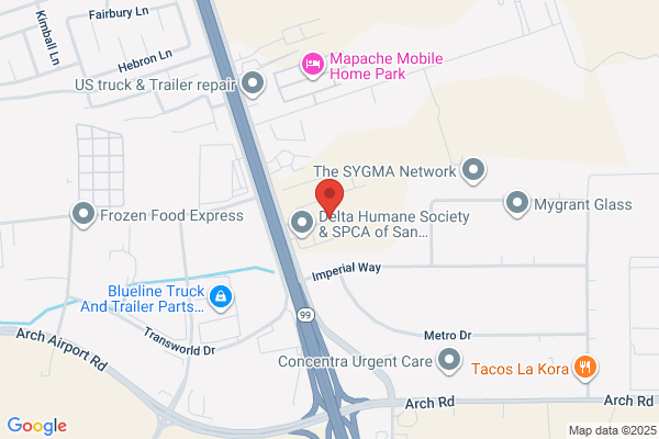 California Live Floors Inc