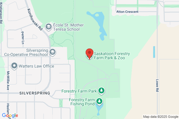 Cunningham Forestry Farm