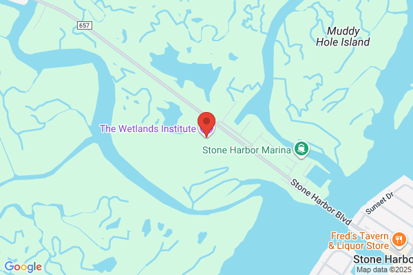 Wetlands Institute the, A Full Service Educational & Research Facility-Open