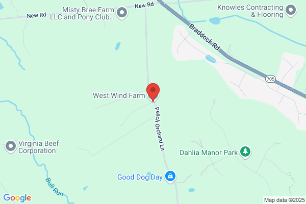 Tail Wind Farm Inc