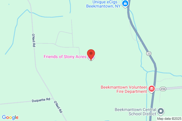 Stony Mobile Home Park