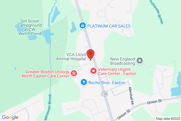 VCA Lloyd Animal Hospital