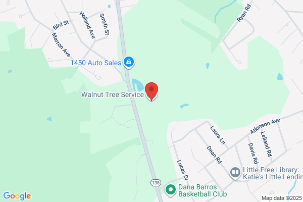 Walnut Tree Services