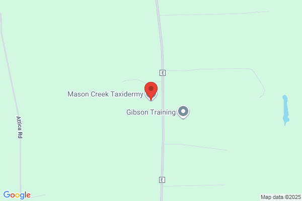 Catfish Creek Taxidermy