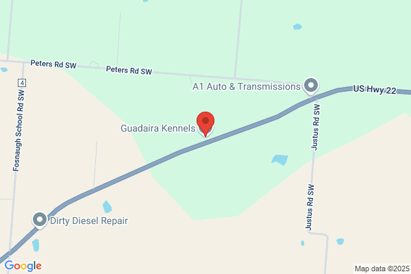 Guadaira Kennels