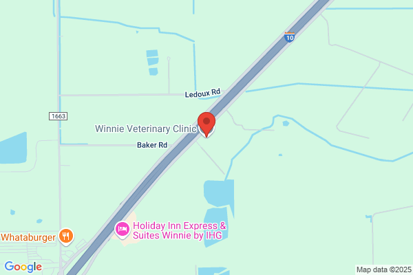 Winnie Vet Clinic