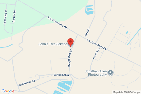 John Beldon Tree Service