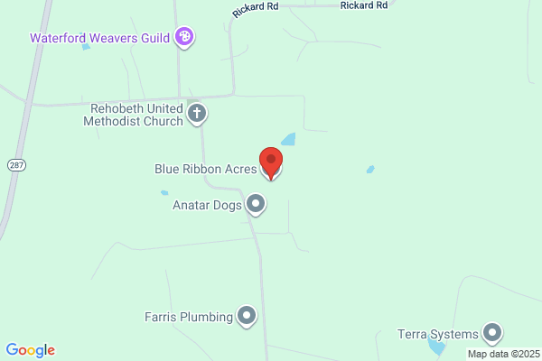Blue Ribbon Acres