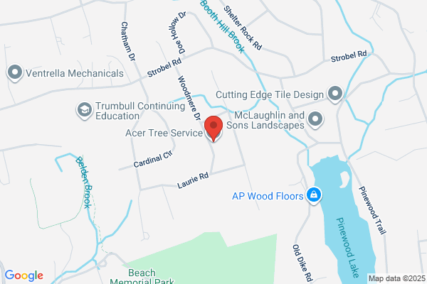Trumbull Stump Removal