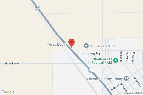 Texas Electric Company