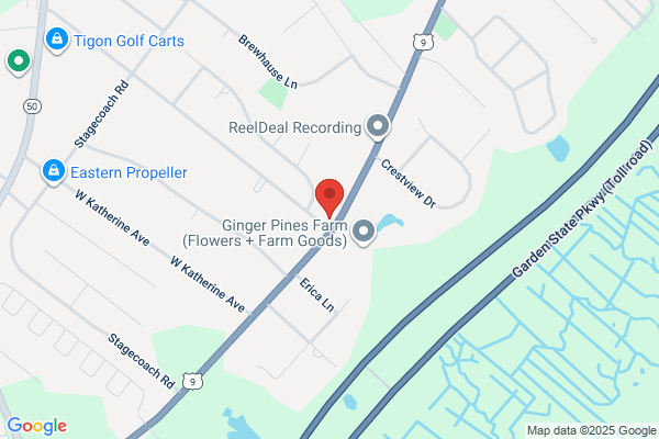 Ocean View Chiropractic and Wellness