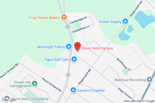 Shore Veterinarians
