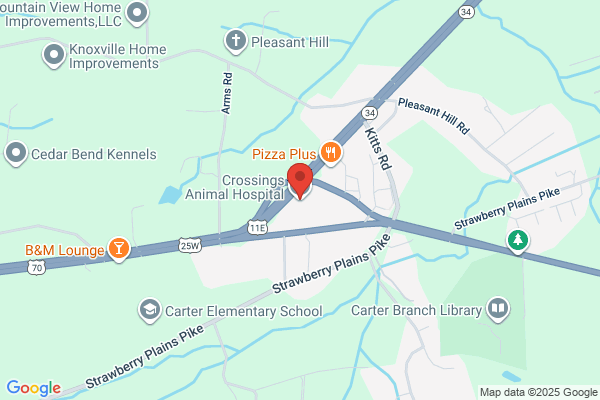 Crossings Animal Hospital & Laser Center