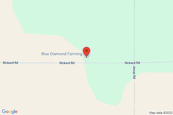 Blue Diamond Marketing Group