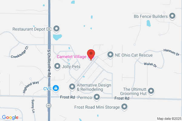 Camelot Village Mhc Llc