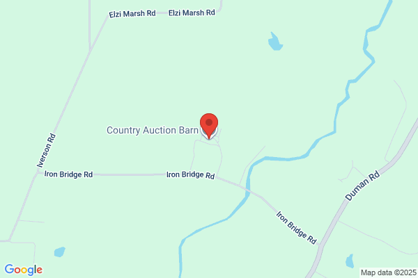 Country Auctioneer
