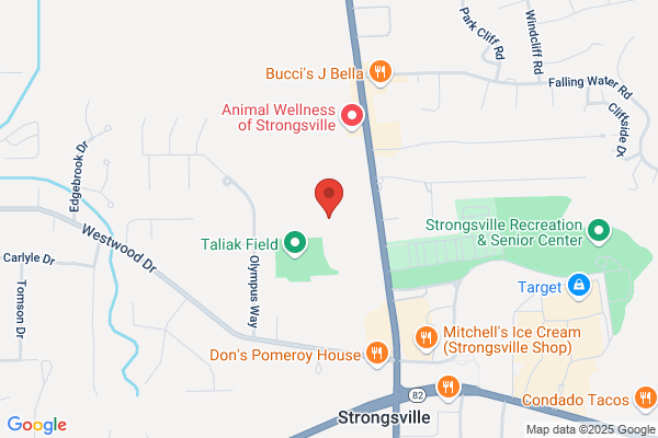 Valley Storage - Strongsville