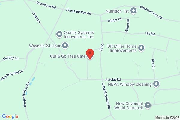 Cut & Go Tree Care