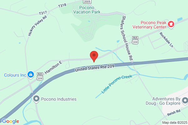 Connie Pentz Real Estate