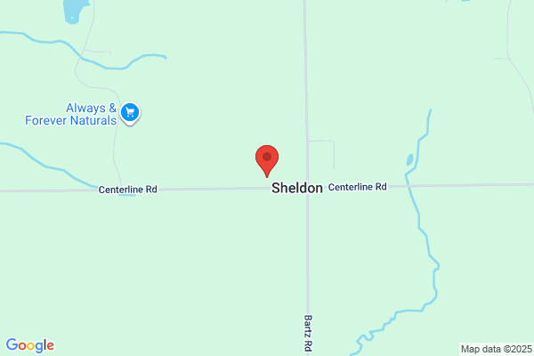 Sheldon Fire Co