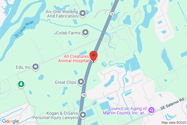 All Creatures Animal Hospital