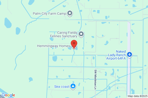 Hemmingway Homes Inc