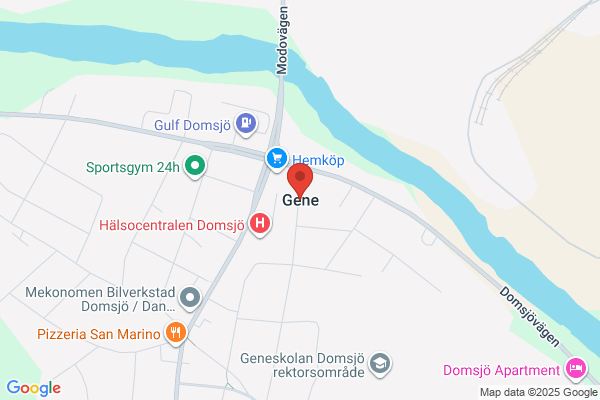 Gene