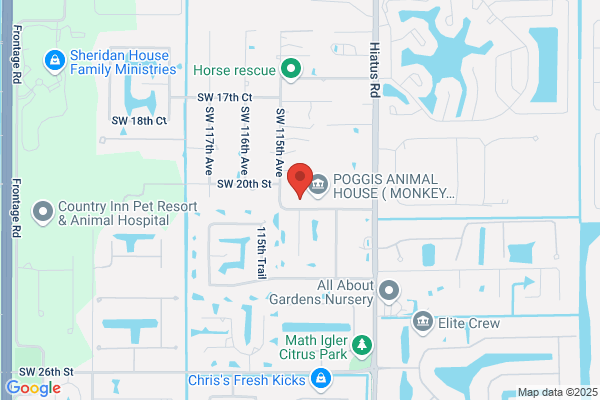 All Bee Bee Removal