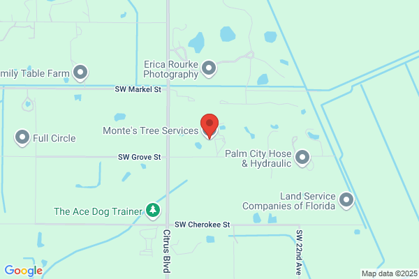 Montes Tree Service