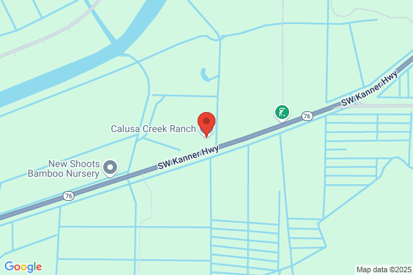 Calusa Creek Tree Farm