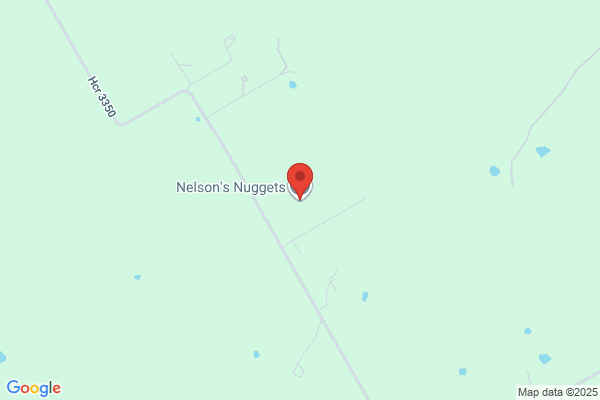 Nelson's Nuggets
